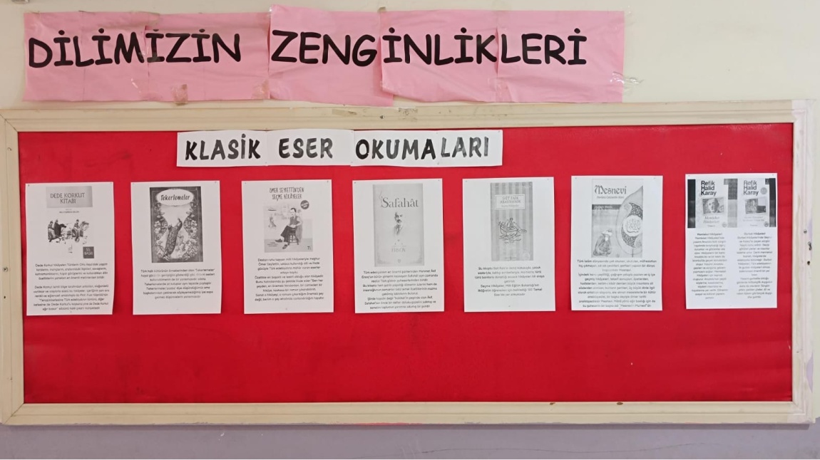 DİLİMİZİN ZENGİNLİKLERİ PROJESİ